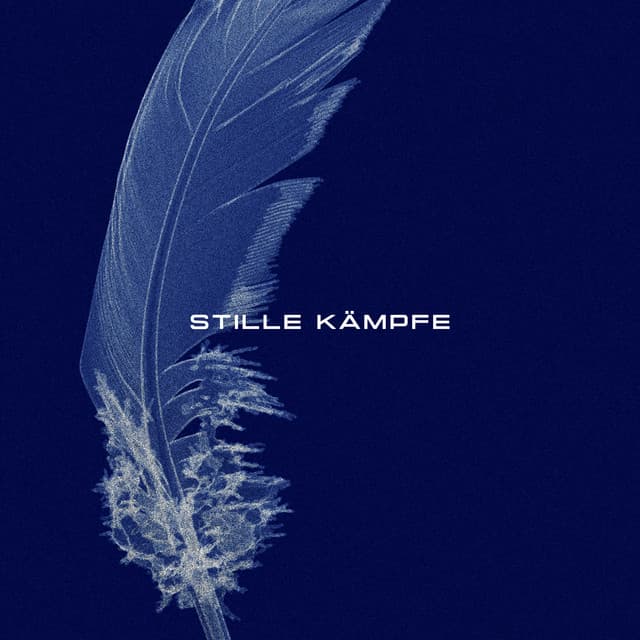 Cover: Stille Kämpfe