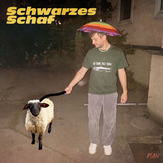 Cover: Schwarzes Schaf - Akustik Session